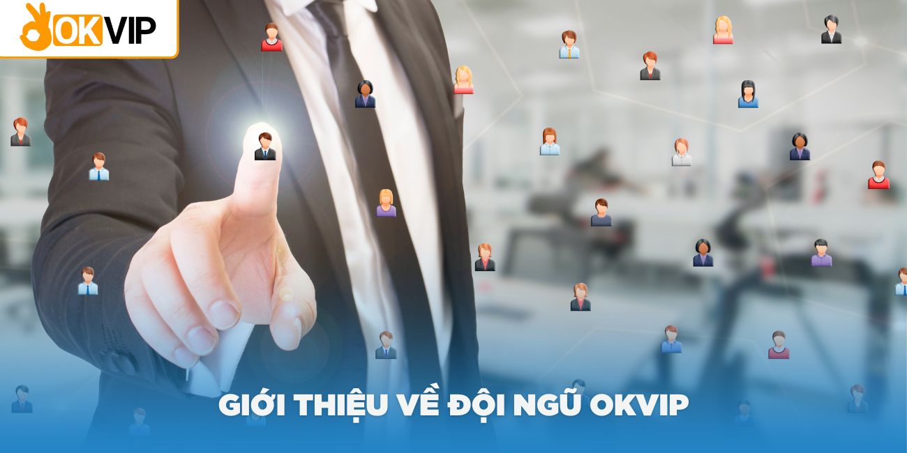 Giới thiệu về đội ngũ OKVIP