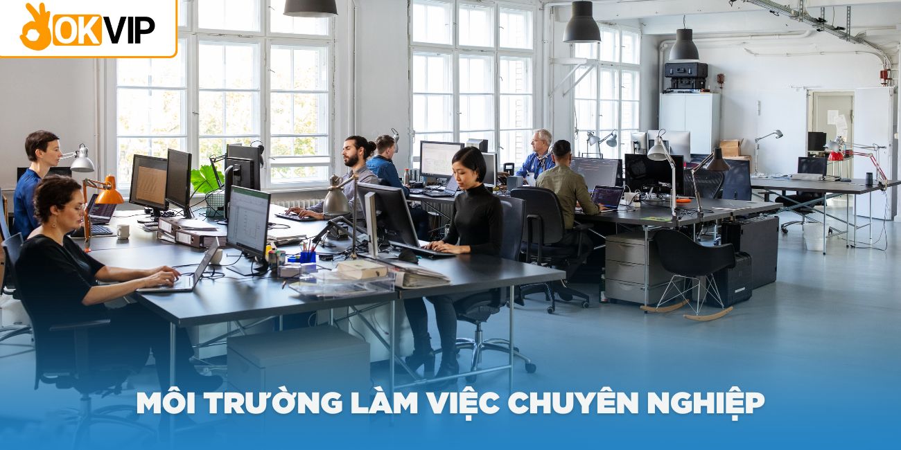 Môi trường làm việc chuyên nghiệp tại OKVIP