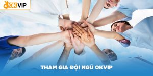 Đội ngũ OKVIP